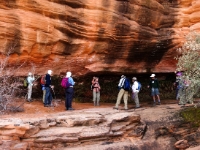 Hiking The Slick Rock Slot Canyons And Red Rock Of Lake Powell